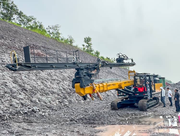 1768031703974495.jpg 03.jpg